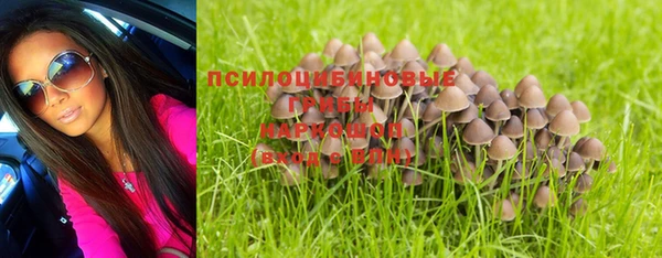 ПСИЛОЦИБИНОВЫЕ ГРИБЫ Медвежьегорск