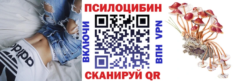 Купить где  Орск  Псилоцибиновые грибы Cubensis 